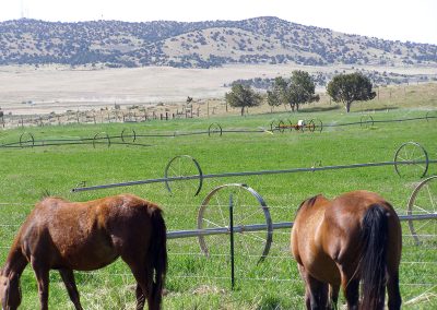 WIN Ranch located in Fillmore, Utah